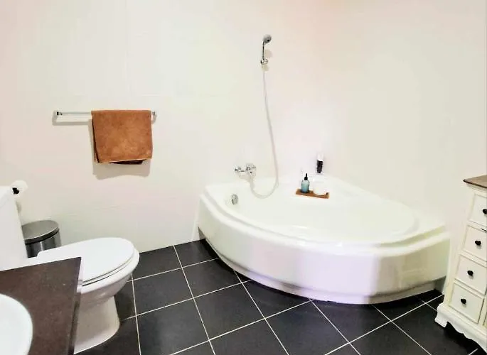 Bird Of Paradise * Mosta