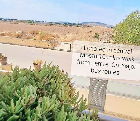 Bird Of Paradise Apartament