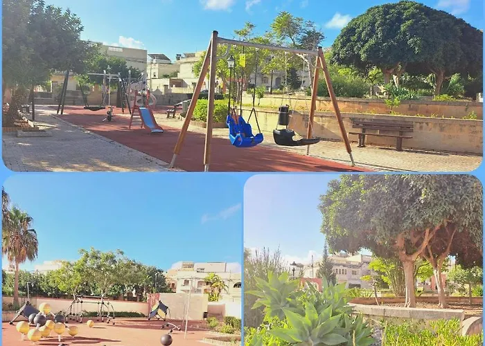 Bird Of Paradise Mosta